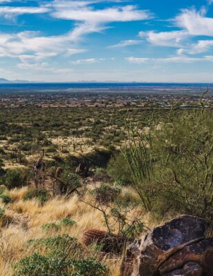 Anger & Rage Treatment in Tempe