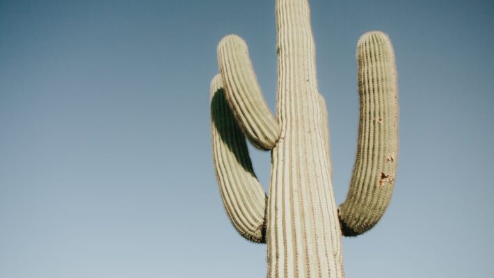 Borderline Personality Treatment in Cave Creek