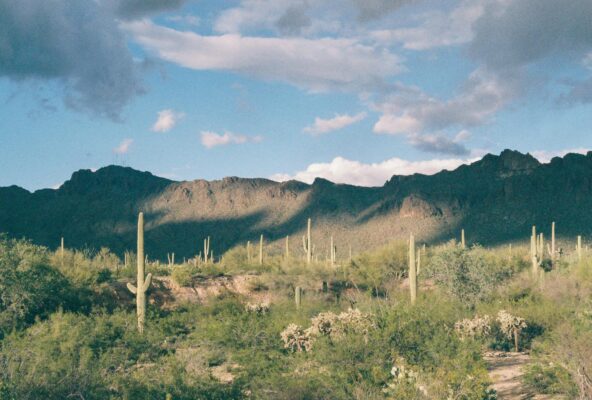 OCD Treatment in arizona