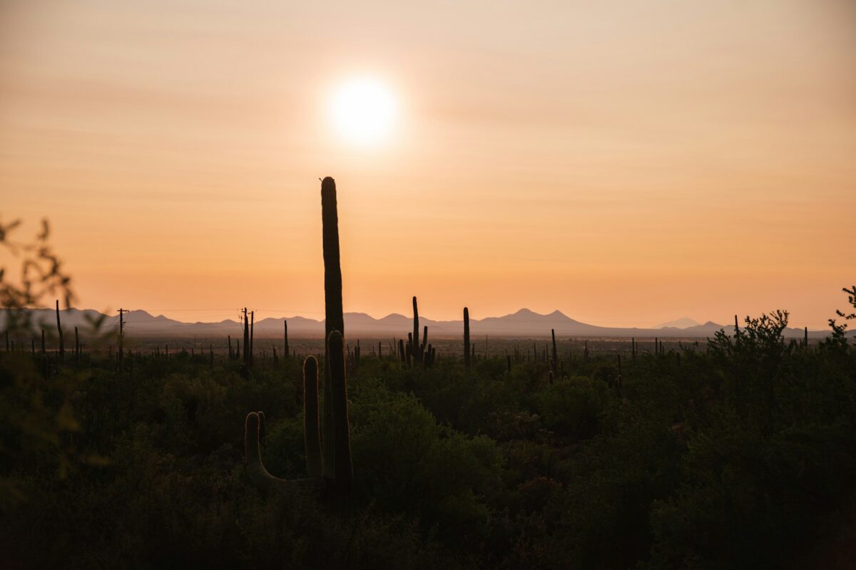 rehab in phoenix