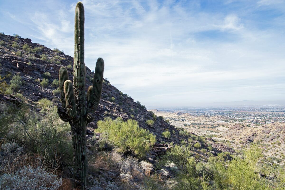 rehab near phoenix